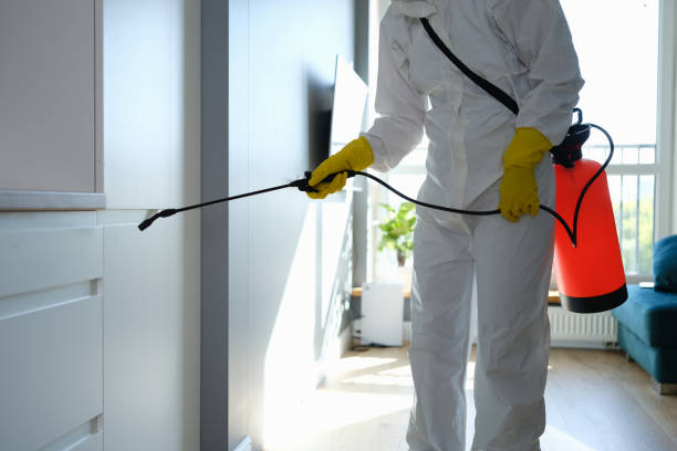 Best Residential Mold Removal  in Adelphi, MD