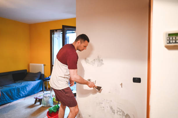 Attic Mold Removal in Adelphi, MD